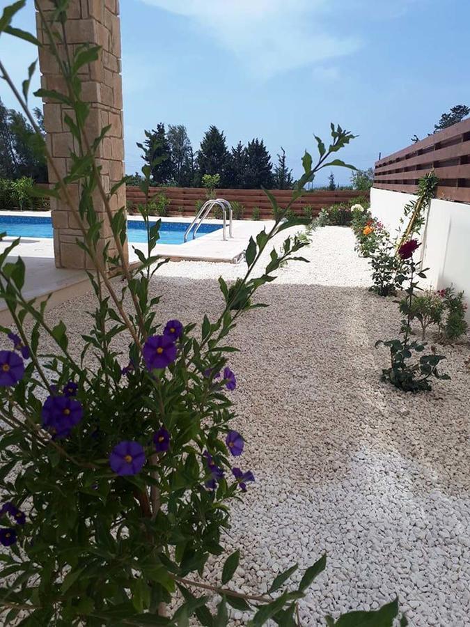 Olivia Villa 63 Paphos Bagian luar foto